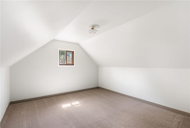 200 S Park Dr, Raymore, MO 64083 - bonus room with carpet flooring and vaulted ceiling