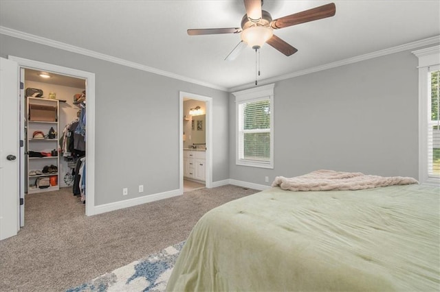 801 NW Hickory Ridge Dr, Grain Valley, MO 64029 - bedroom featuring carpet flooring, a walk in closet, ornamental molding, multiple windows, and ensuite bathroom