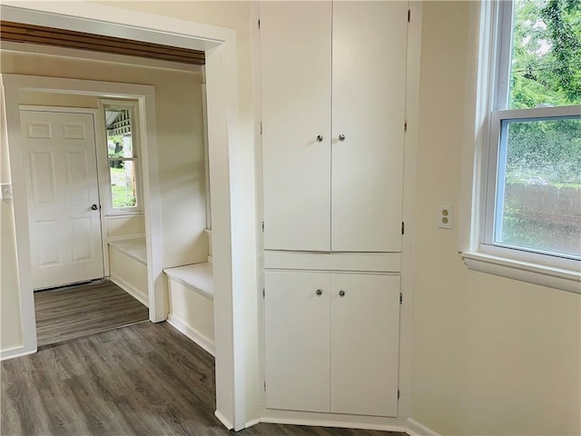 812 N 9th St, Leavenworth, KS 66048 - mudroom with dark wood-type flooring and plenty of natural light