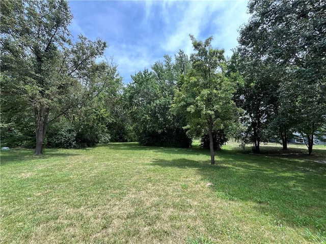505 Williamsburg Dr, Lees Summit, MO 64063 - view of green lawn