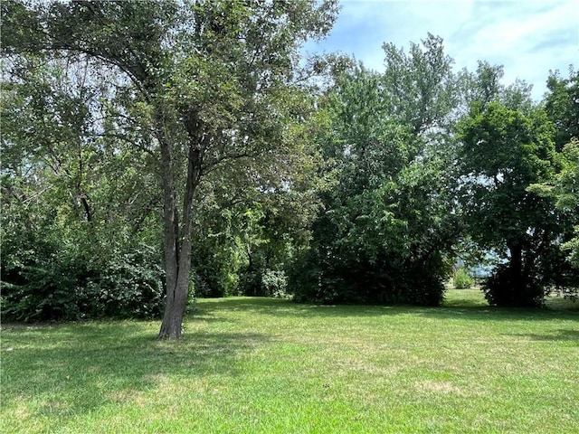 505 Williamsburg Dr, Lees Summit, MO 64063 - view of green lawn