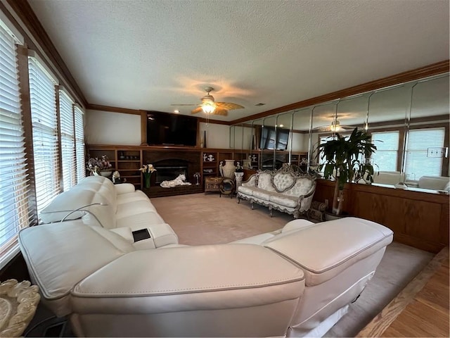 505 Williamsburg Dr, Lees Summit, MO 64063 - living area featuring a textured ceiling, ceiling fan, plenty of natural light, a fireplace, and crown molding
