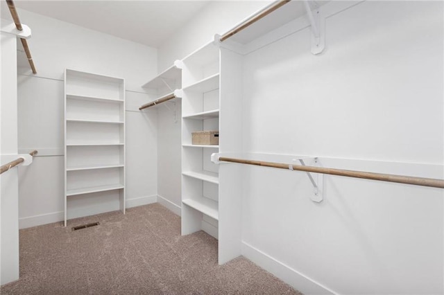 15323 W 171st Ter, Olathe, KS 66062 - spacious closet featuring carpet flooring