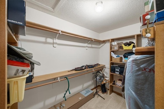 13217 S Locust St, Olathe, KS 66062 - view of spacious closet