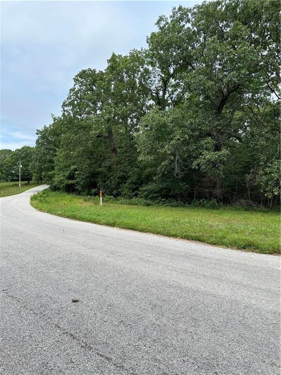Bobcat Dr, Warsaw, MO 65355 - photo 6