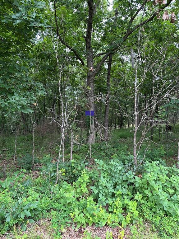 Bobcat Dr, Warsaw, MO 65355 - photo 8