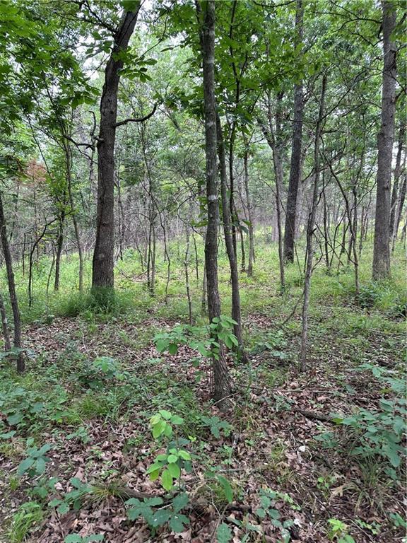 Bobcat Dr, Warsaw, MO 65355 - photo 9