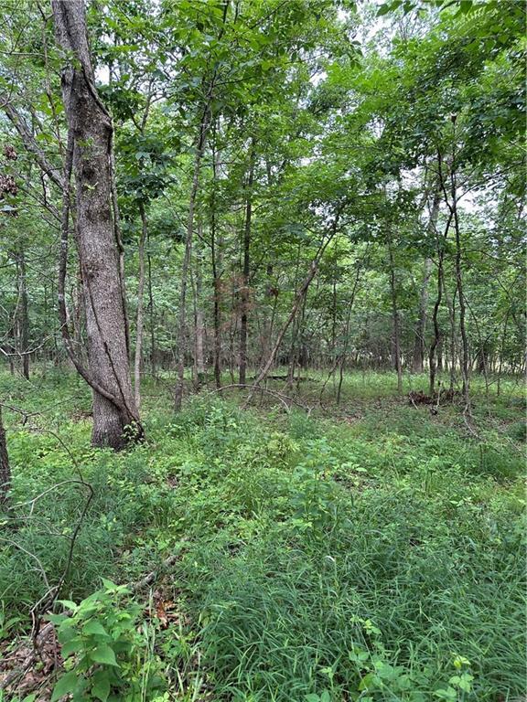 Bobcat Dr, Warsaw, MO 65355 - photo 10
