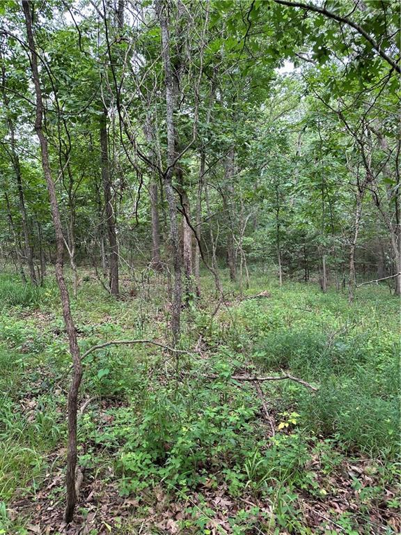 Bobcat Dr, Warsaw, MO 65355 - photo 11