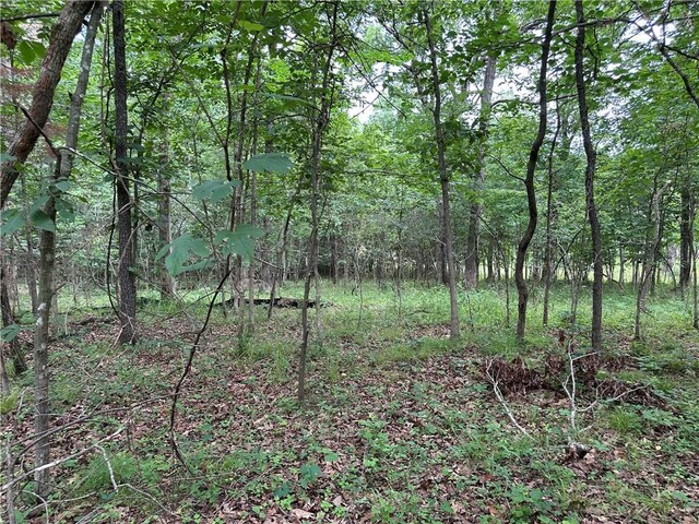 Bobcat Dr, Warsaw, MO 65355 - photo 14