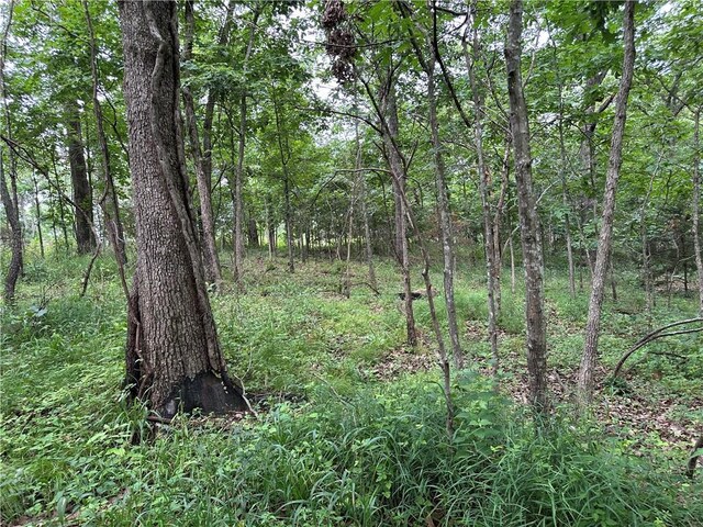 Bobcat Dr, Warsaw, MO 65355 - photo 15