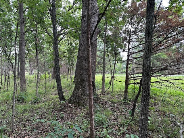 Bobcat Dr, Warsaw, MO 65355 - photo 19