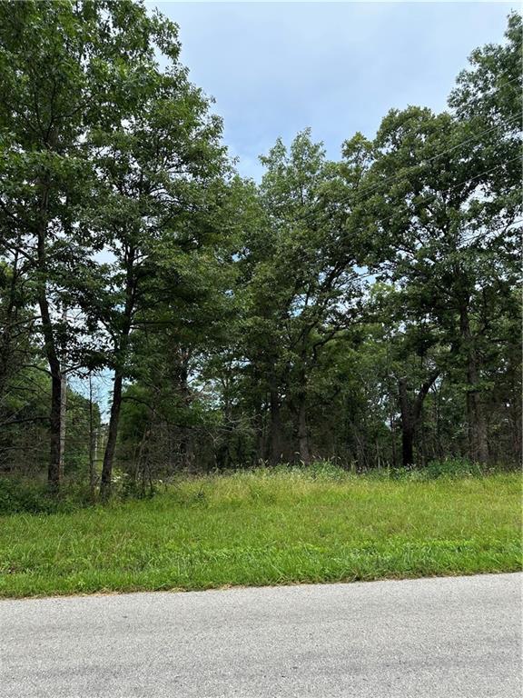 Bobcat Dr, Warsaw, MO 65355 - photo 25