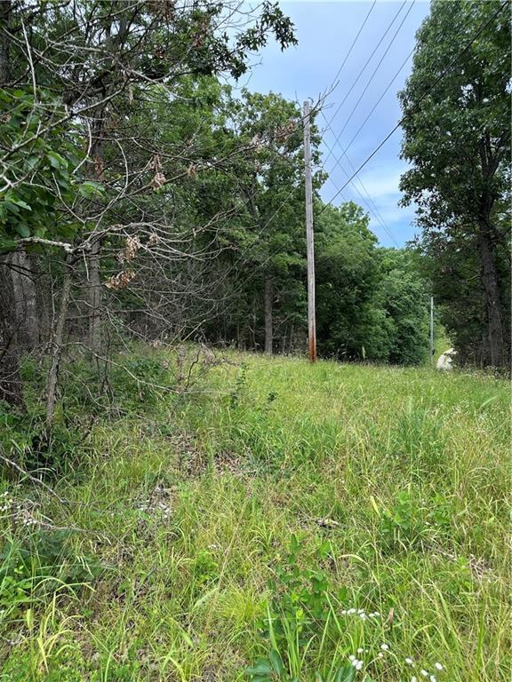 Bobcat Dr, Warsaw, MO 65355 - photo 26