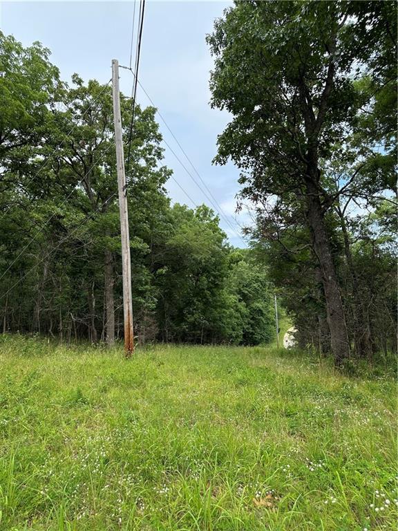 Bobcat Dr, Warsaw, MO 65355 - photo 27