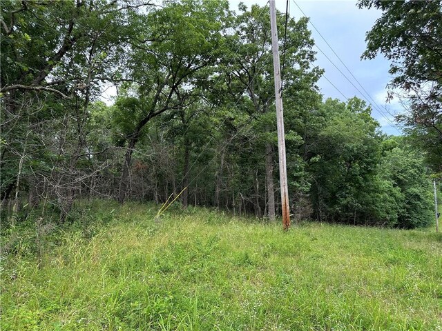 Bobcat Dr, Warsaw, MO 65355 - photo 28