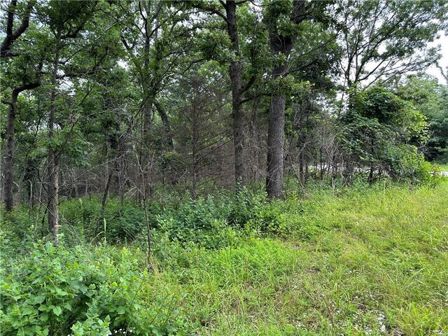 Bobcat Dr, Warsaw, MO 65355 - photo 29