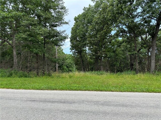 Bobcat Dr, Warsaw, MO 65355 - photo 31
