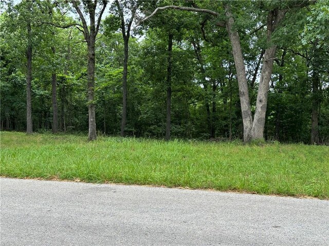 Bobcat Dr, Warsaw, MO 65355 - photo 35