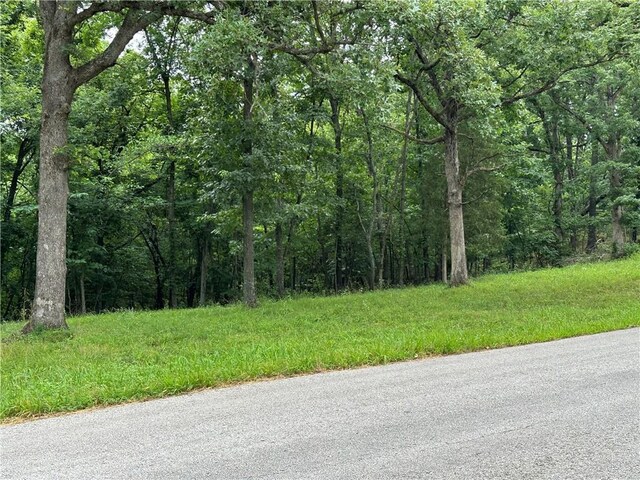 Bobcat Dr, Warsaw, MO 65355 - photo 36