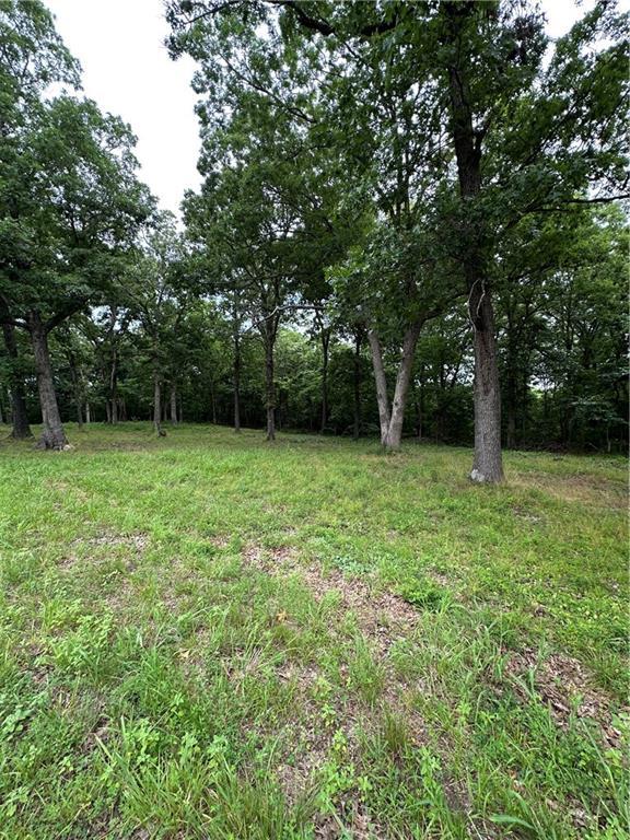 Bobcat Dr, Warsaw, MO 65355 - photo 37