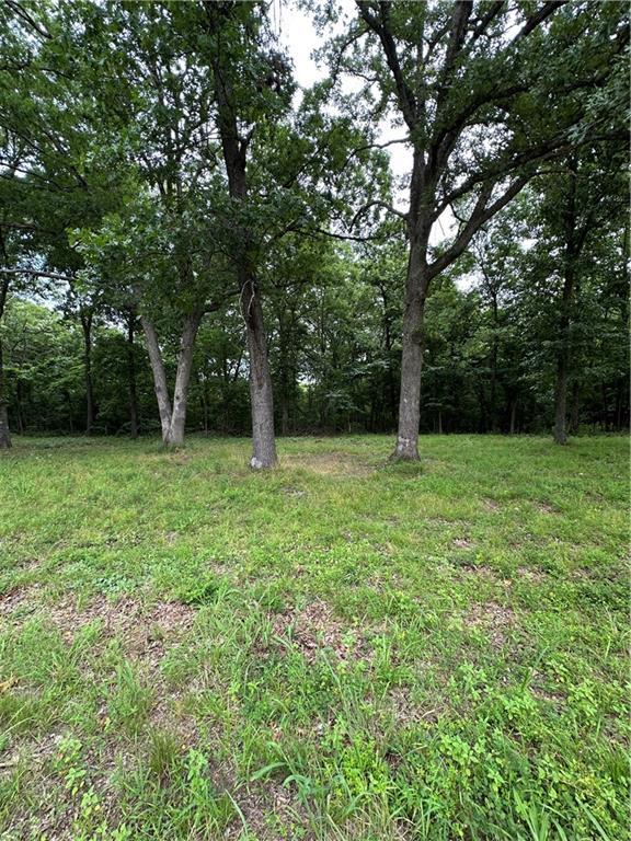 Bobcat Dr, Warsaw, MO 65355 - photo 38