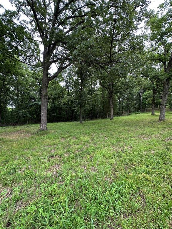 Bobcat Dr, Warsaw, MO 65355 - photo 39