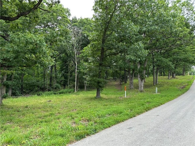 Bobcat Dr, Warsaw, MO 65355 - photo 41