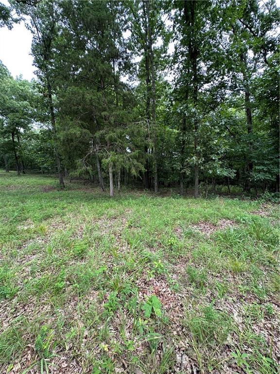 Bobcat Dr, Warsaw, MO 65355 - photo 42