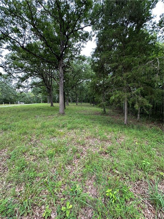 Bobcat Dr, Warsaw, MO 65355 - photo 43