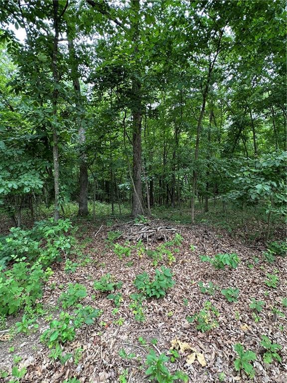 Bobcat Dr, Warsaw, MO 65355 - photo 44
