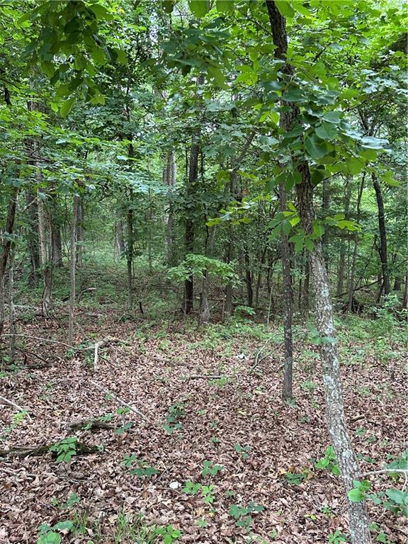 Bobcat Dr, Warsaw, MO 65355 - photo 45