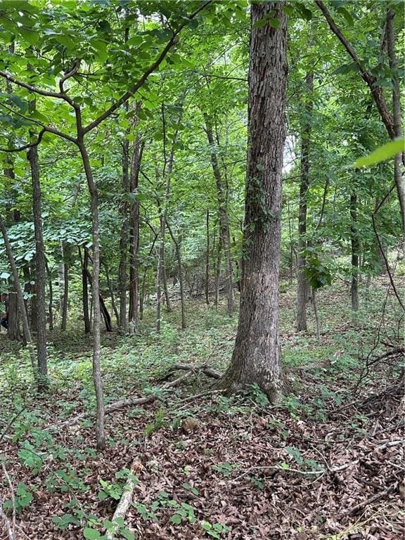 Bobcat Dr, Warsaw, MO 65355 - photo 47