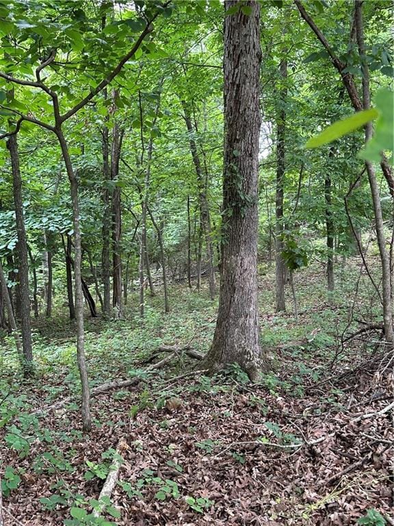 Bobcat Dr, Warsaw, MO 65355 - photo 48