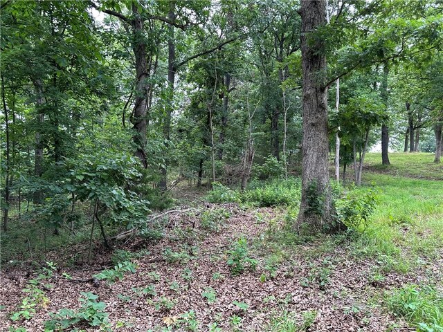 Bobcat Dr, Warsaw, MO 65355 - photo 51