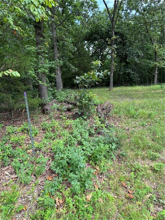 Bobcat Dr, Warsaw, MO 65355 - photo 52