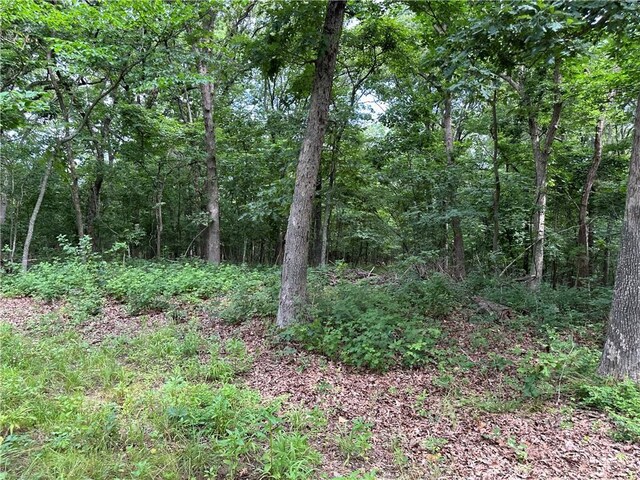 Bobcat Dr, Warsaw, MO 65355 - photo 54
