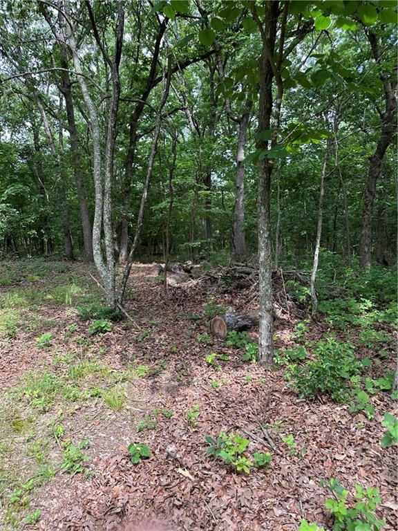 Bobcat Dr, Warsaw, MO 65355 - photo 57