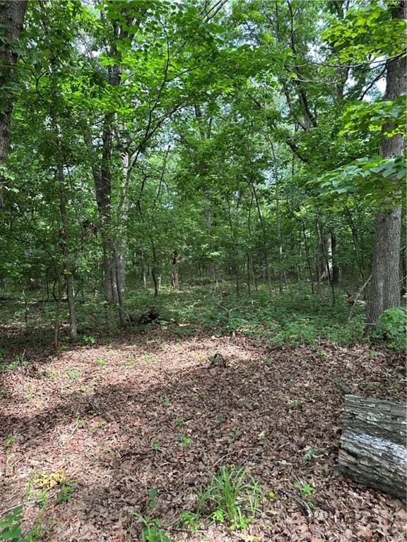 Bobcat Dr, Warsaw, MO 65355 - photo 60