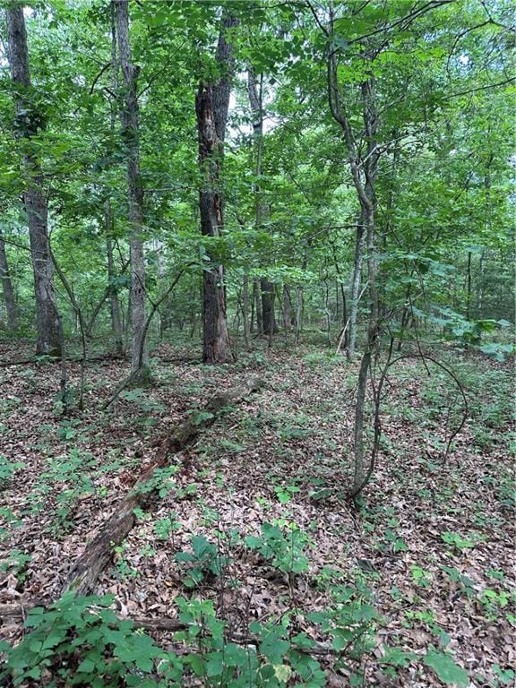 Bobcat Dr, Warsaw, MO 65355 - photo 62