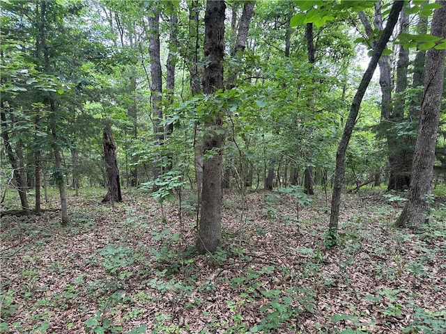 Bobcat Dr, Warsaw, MO 65355 - photo 63