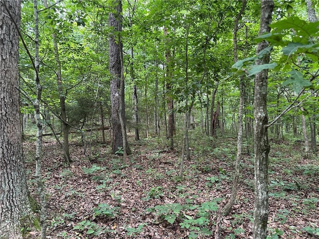 Bobcat Dr, Warsaw, MO 65355 - photo 64