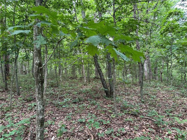 Bobcat Dr, Warsaw, MO 65355 - photo 65