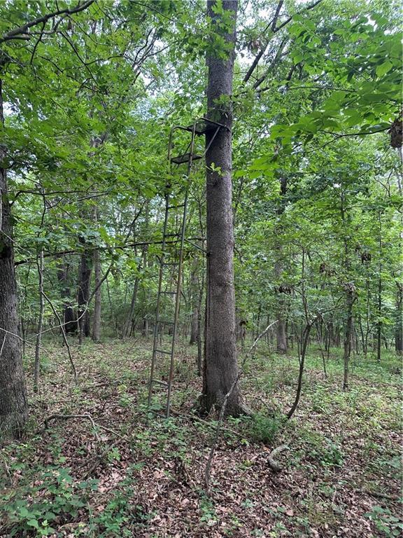 Bobcat Dr, Warsaw, MO 65355 - photo 68