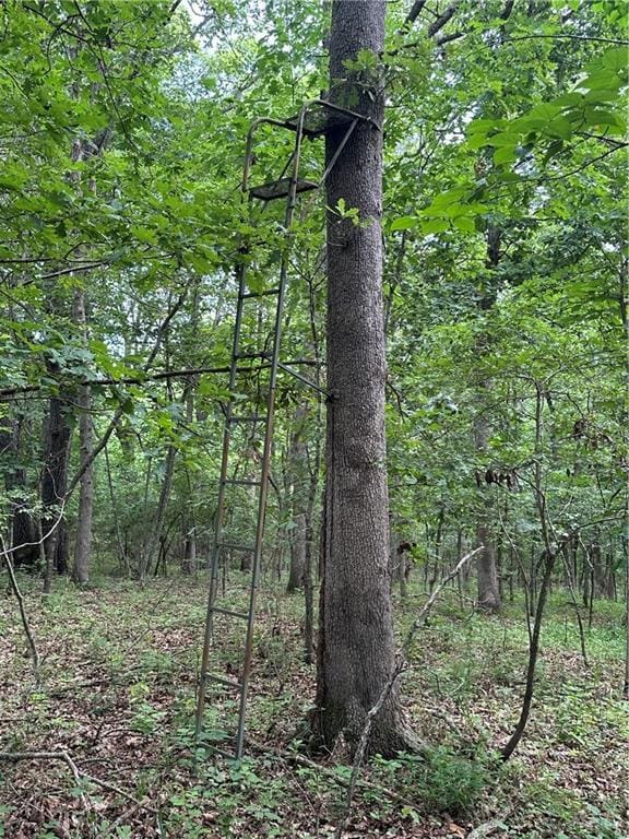 Bobcat Dr, Warsaw, MO 65355 - photo 69