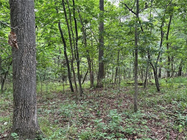 Bobcat Dr, Warsaw, MO 65355 - photo 70