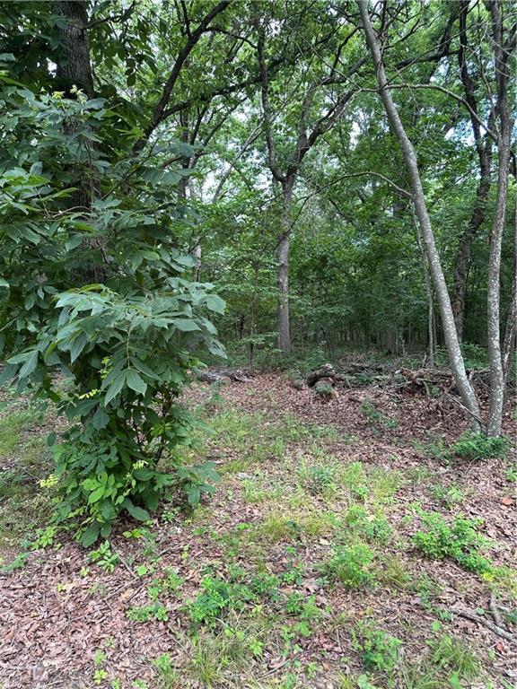 Bobcat Dr, Warsaw, MO 65355 - photo 72