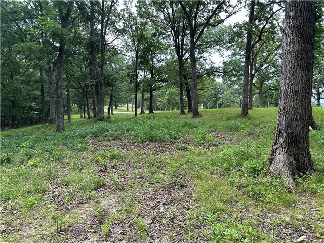 Bobcat Dr, Warsaw, MO 65355 - photo 73