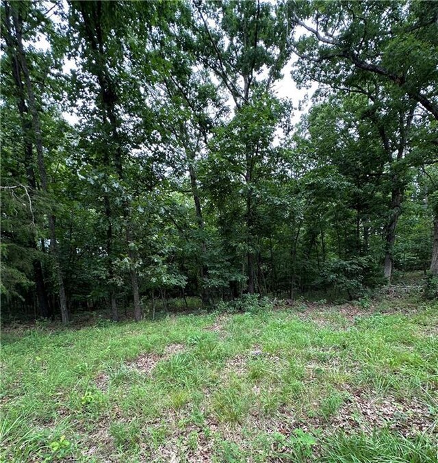 Bobcat Dr, Warsaw, MO 65355 - photo 74
