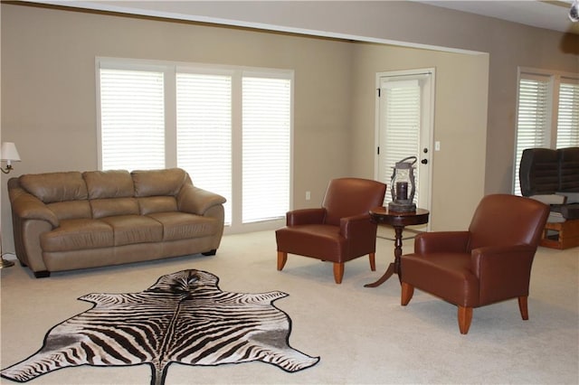 9013 N Kansas Ct, Kansas City, MO 64156 - photo 29
